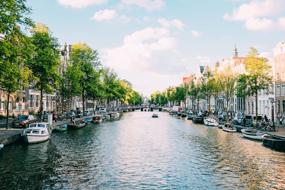 3 Nights Amsterdam City Break