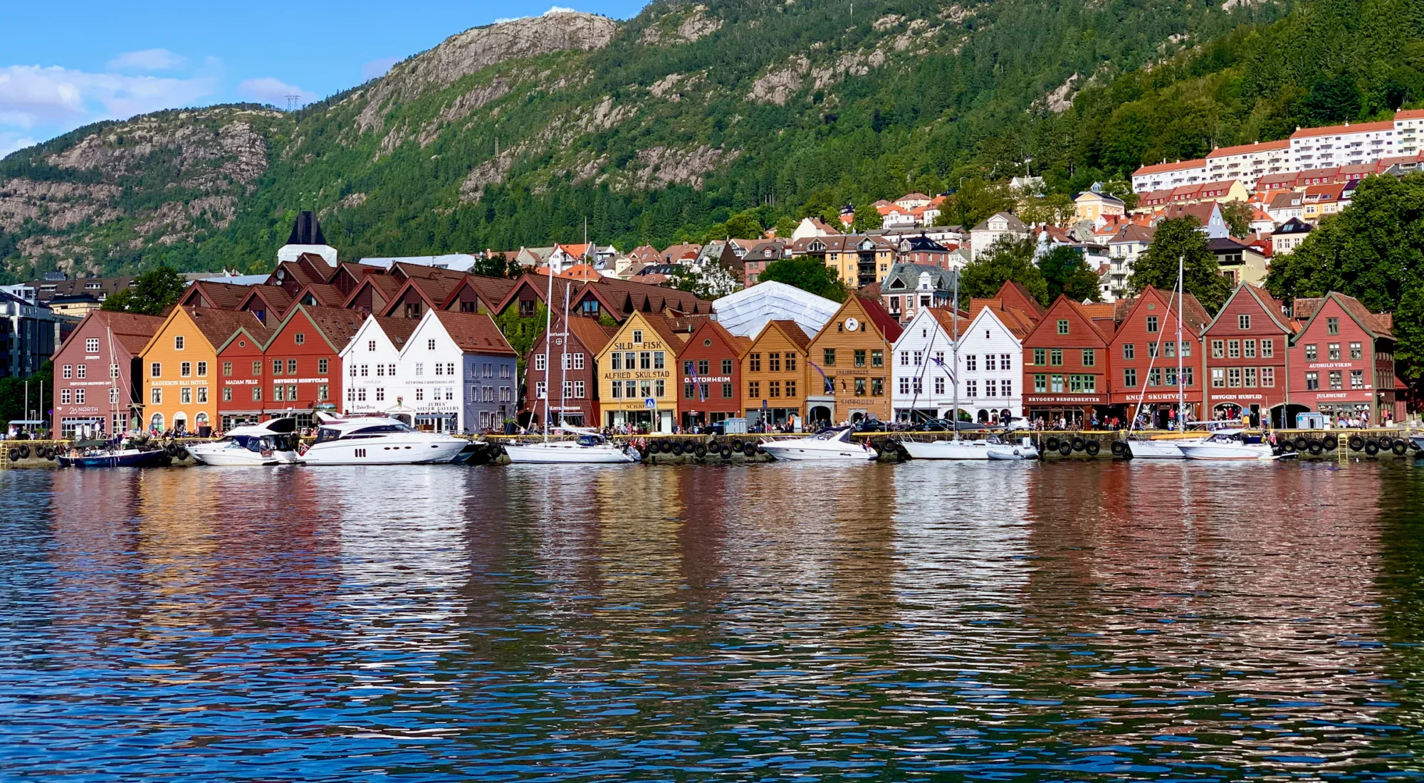 Bergen harbour under a blue sky