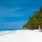 White-sand beach in Barbados