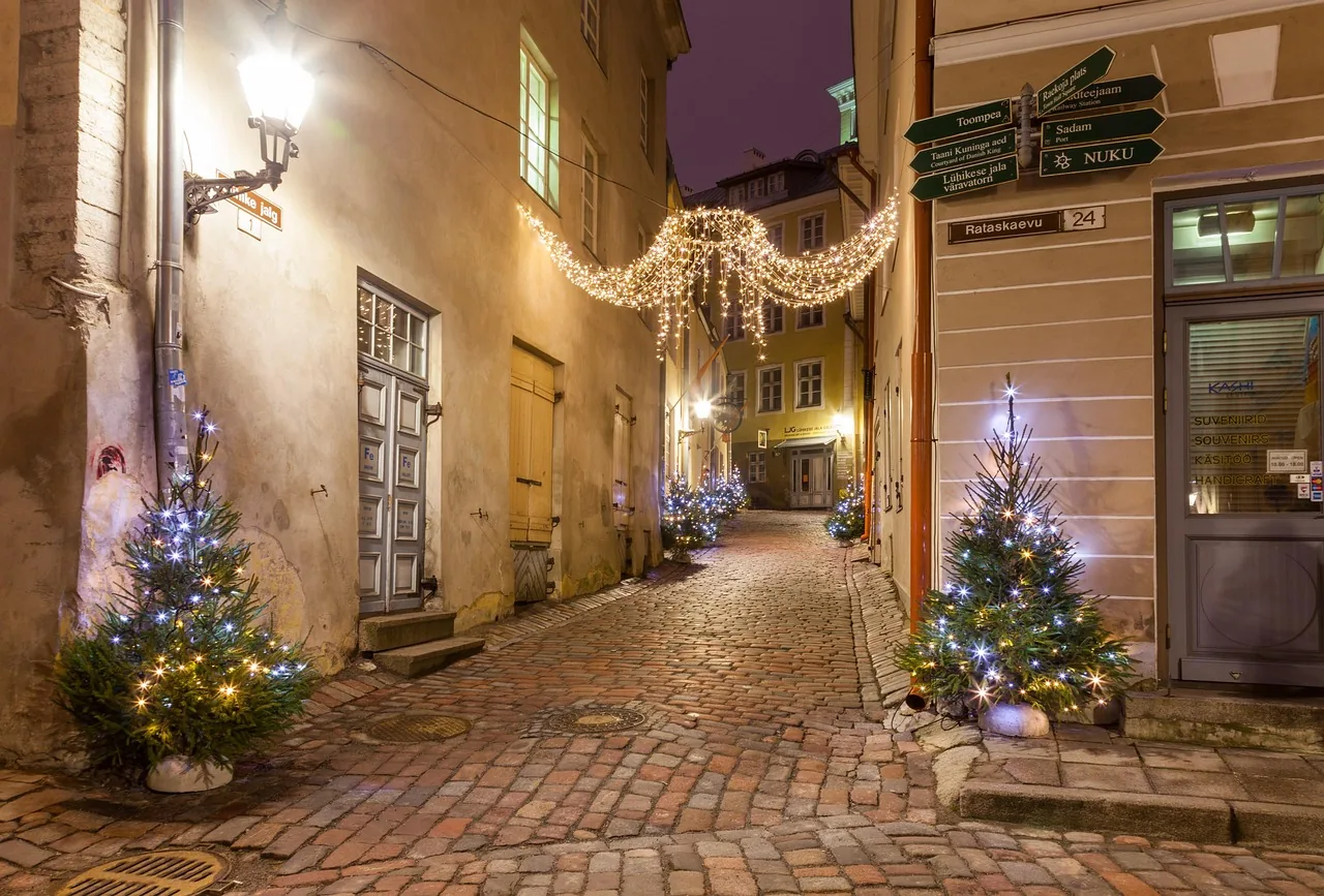 Christmas trees in a lamp-lit lane in Tallinn's old town